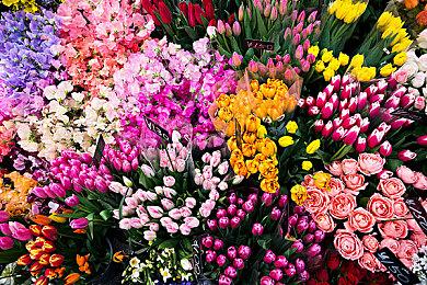 Gearbox母公司计划再花80亿美元收购工作室