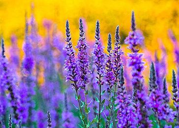 TGA 2021大奖提名下周公布 共30个奖项