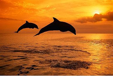 《塞尔达传说：王国之泪》新截图 在美丽世界展开大冒险