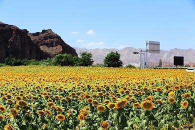 《帝国阵线》登陆Steam 柴油朋克背景复古风战棋新游